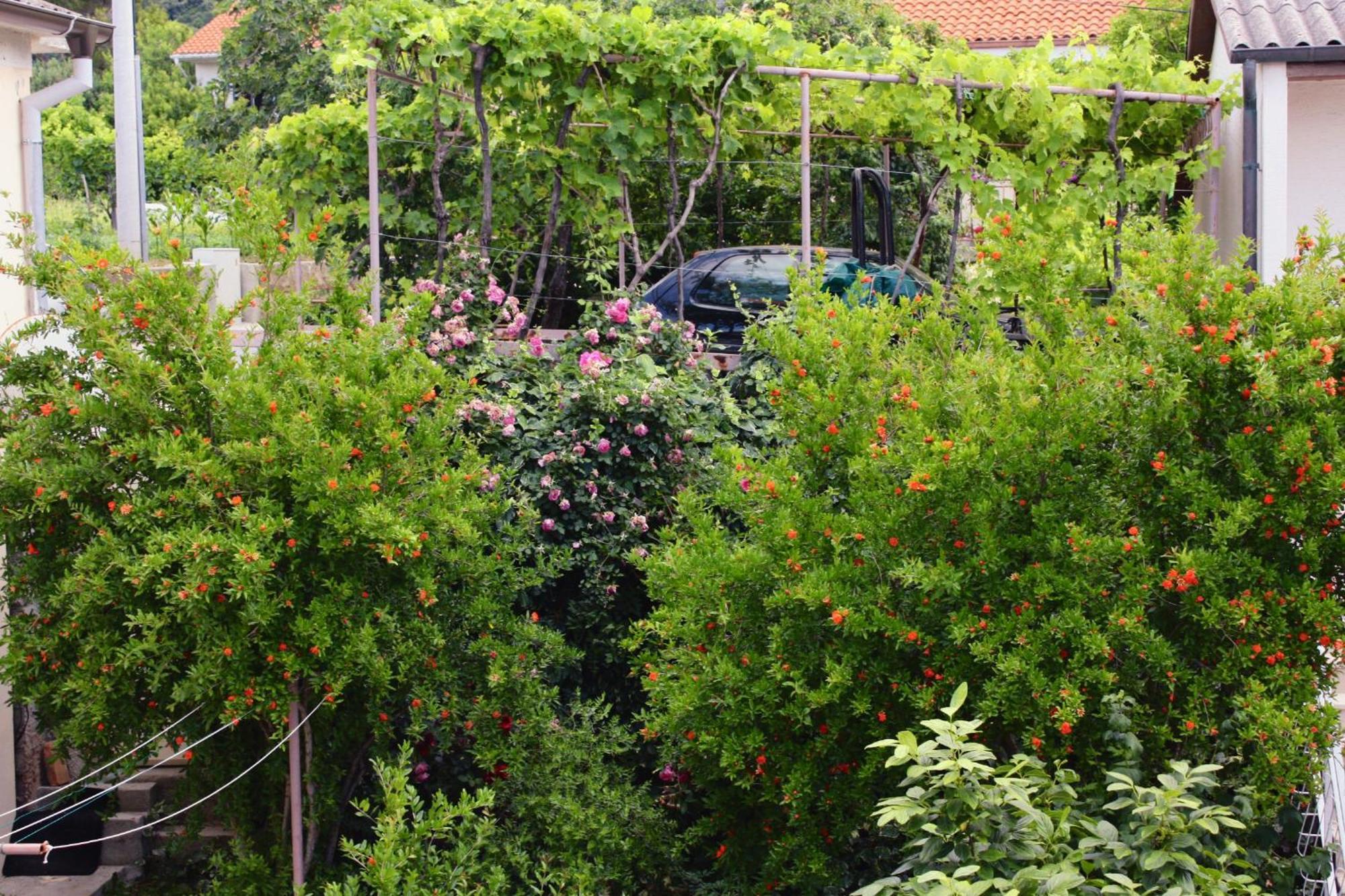 Apartments And Rooms By The Sea Barbat, Rab - 4973 Rab Town Esterno foto